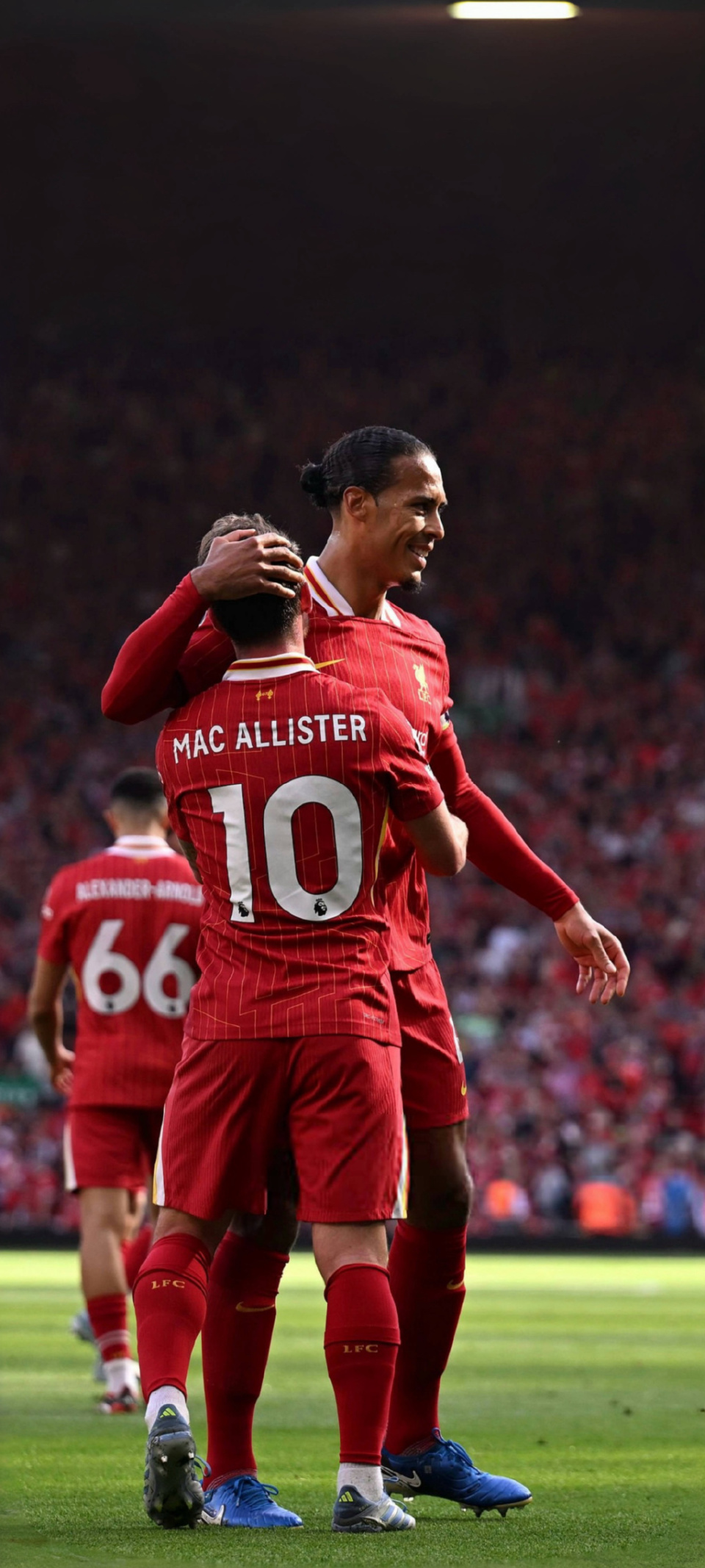 xqyyi, 势下去开创, 决赛级别的