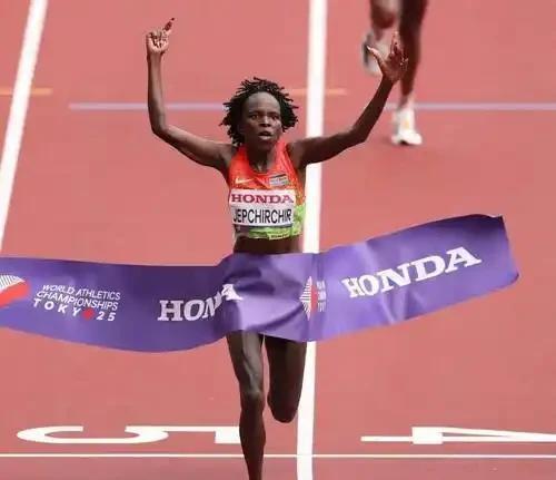 img, tenan img, tenan