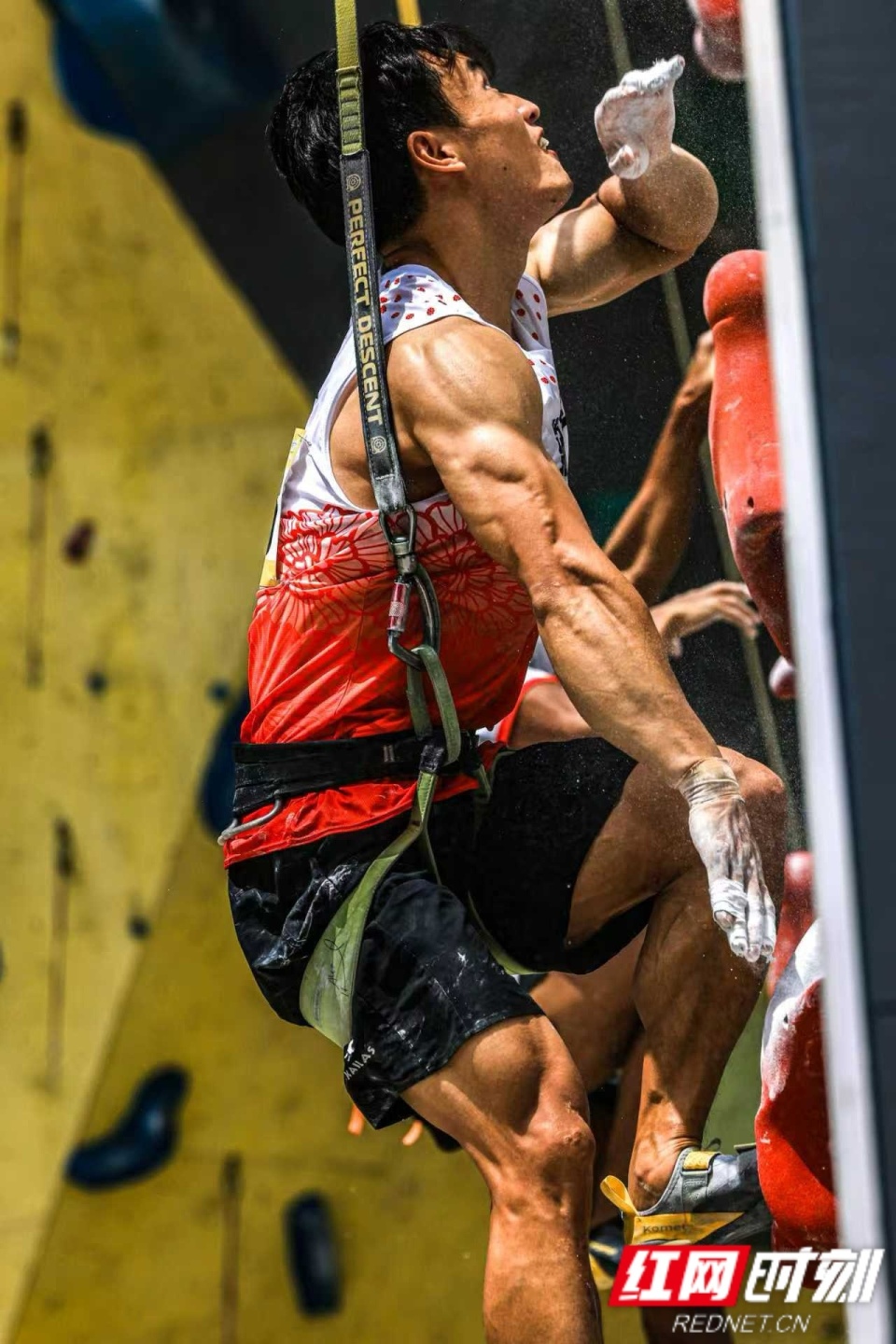 世界冠军和 世界冠军和